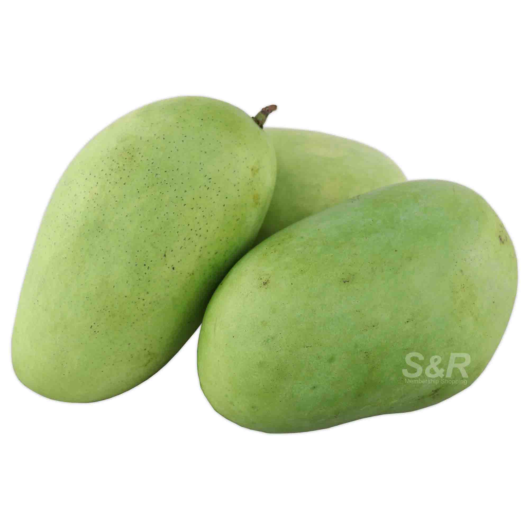 S&R Large Green Mango approx. 1.5kg S&R Large Green Mango approx. 1.5kg